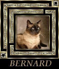 bernard