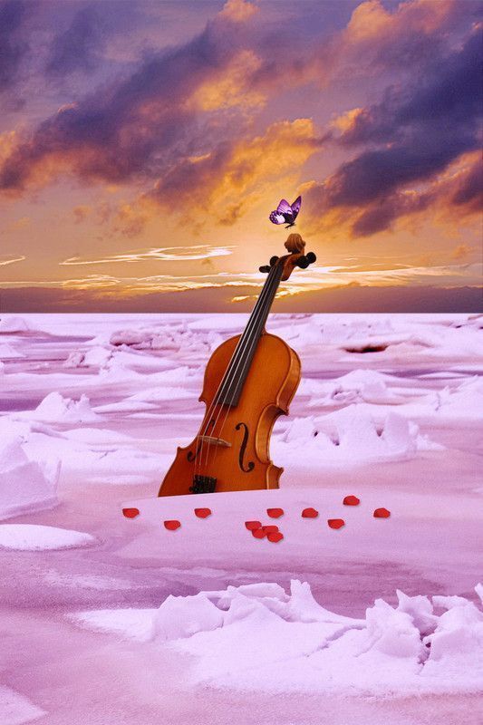 violon