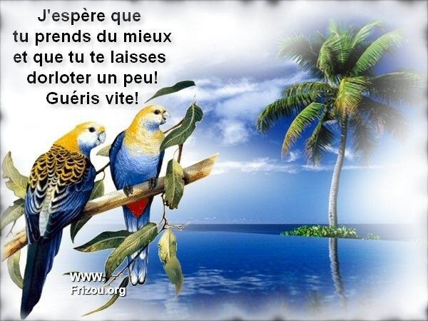 citation