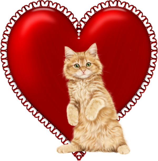mon tube chat avec coeur pour vos créas