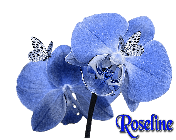roseline