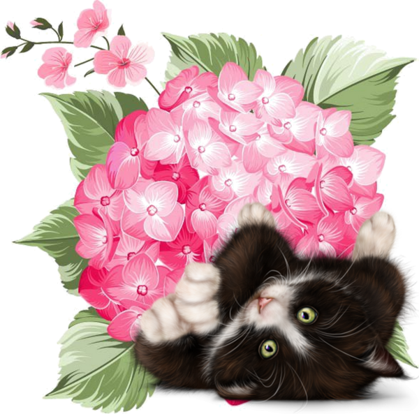 mon tube chat avec fleurs pour vos créas