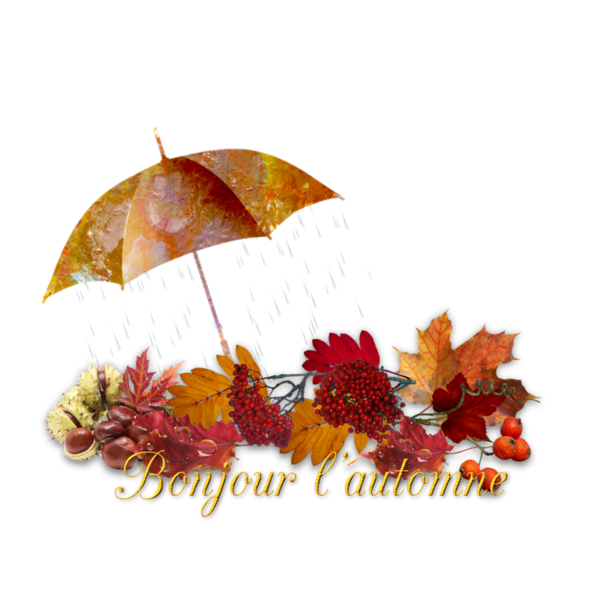 mon tube mot pour l'automne