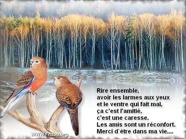 citation