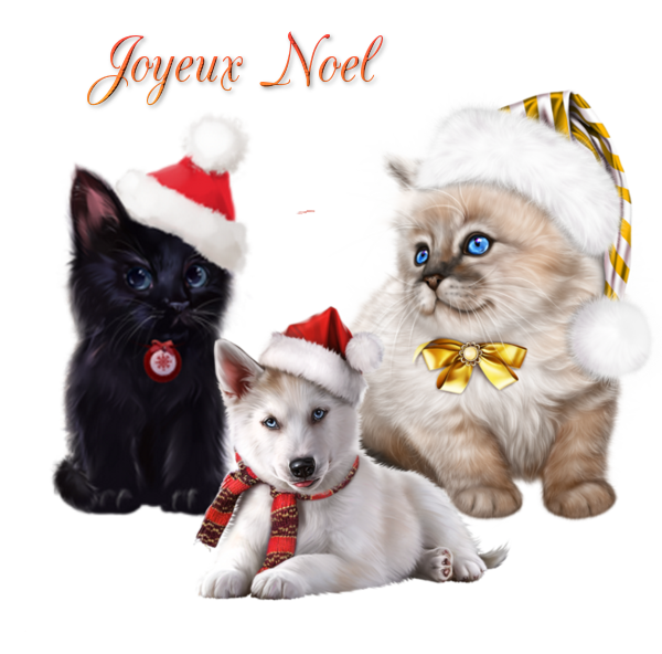 tube joyeux noël