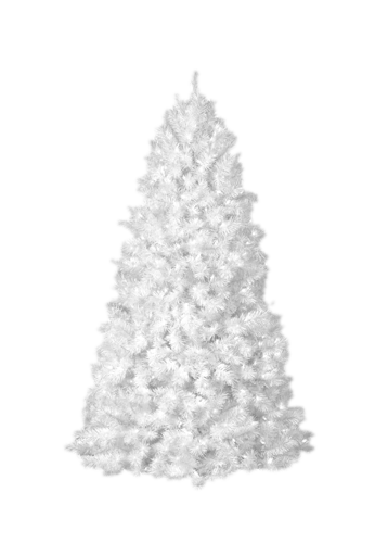 joli tube