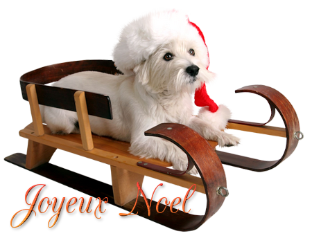 tube joyeux noël