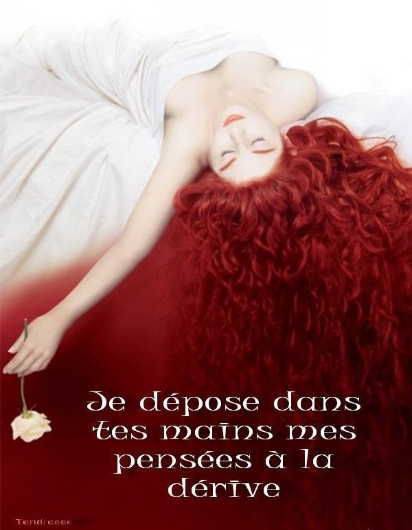 jolie citation