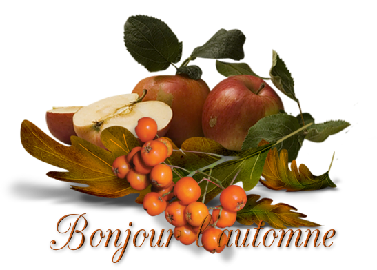 mon tube mot pour l'automne