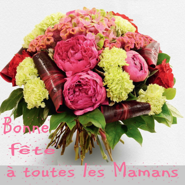 belle image bonne fêtes maman