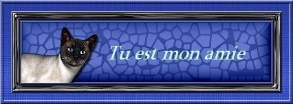 des petites plaques avec petits mots