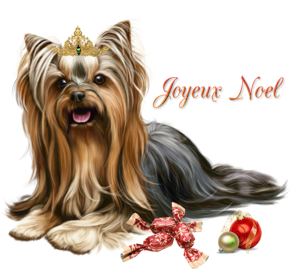 tube joyeux noël