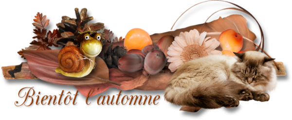 mon tube mot pour l'automne