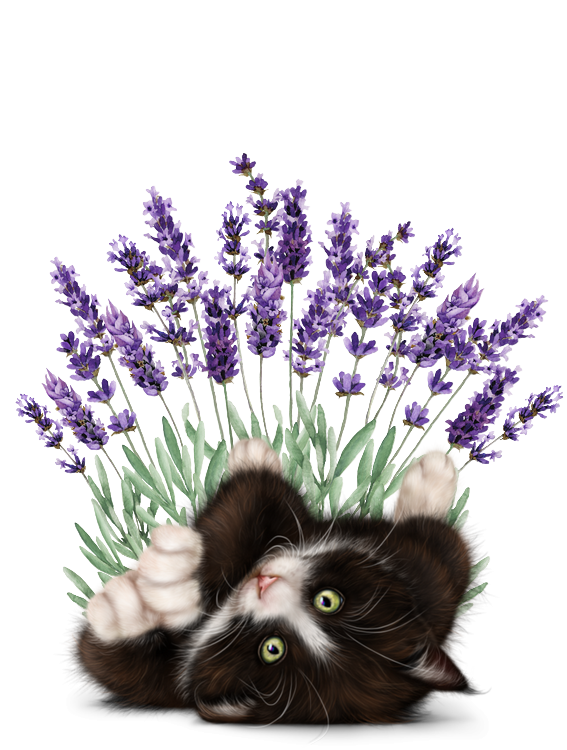 mon tube chat avec fleurs pour vos créas