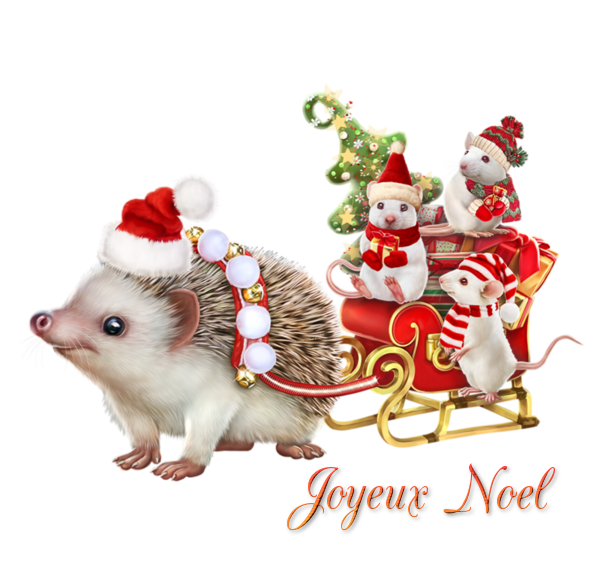  tube joyeux noël