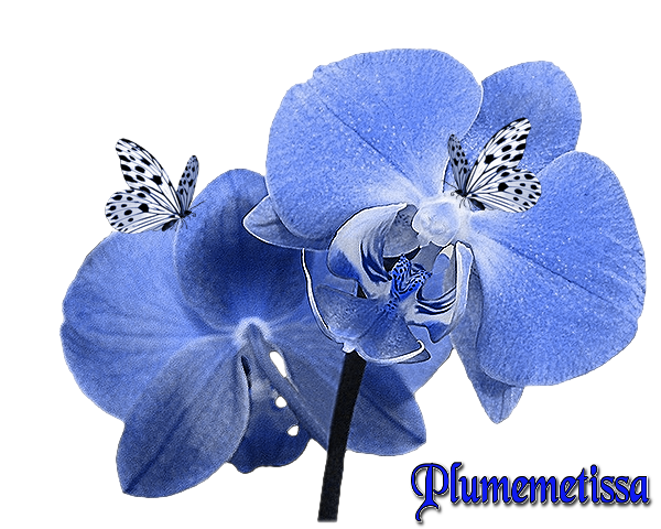 cadeau pour toi mon amie
