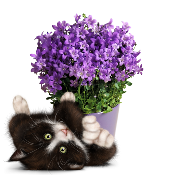 mon tube chat avec fleurs pour vos créas