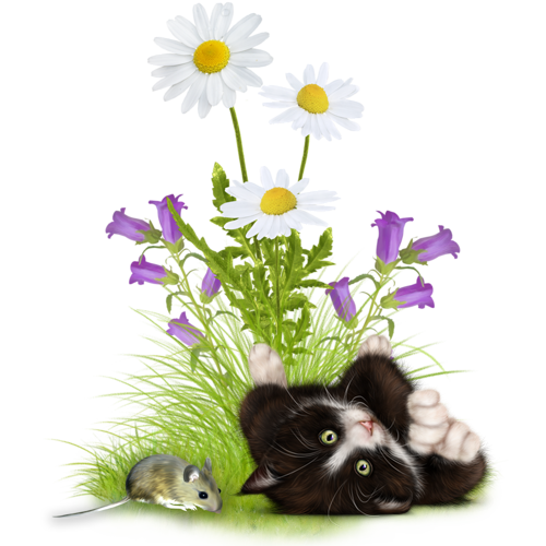 mon tube chat avec fleurs pour vos créas