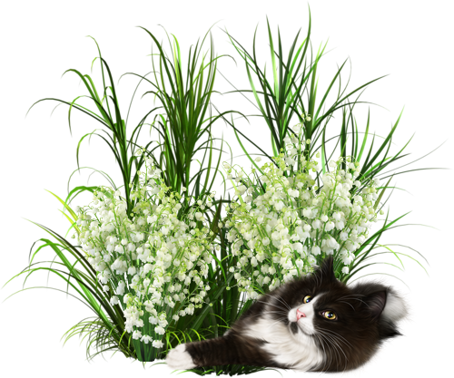 mon tube muguet pour vos créas