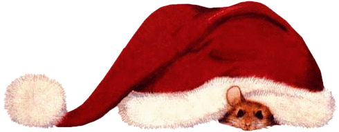747a3142.png