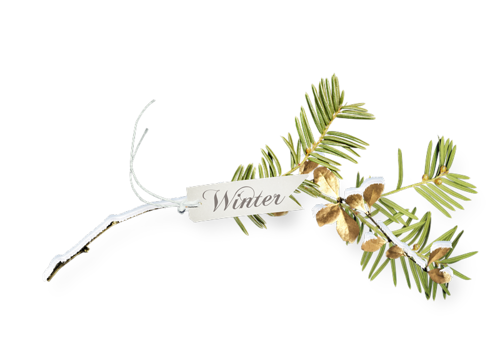 joli tube