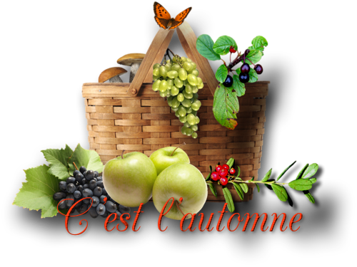 mon tube mot pour l'automne