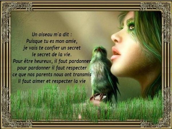 citation