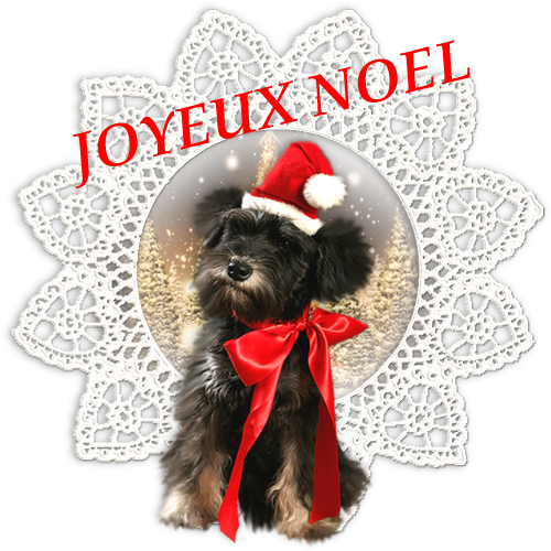 joyeux noél