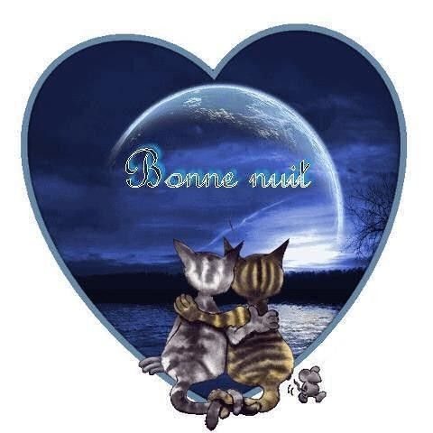 bonne nuit