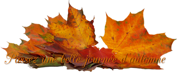 mon tube mot pour l'automne