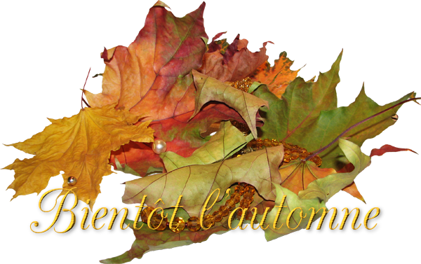 mon tube mot pour l'automne