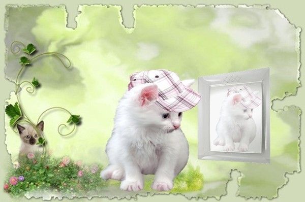 sublime j'adore merci beaucoup gros bisous