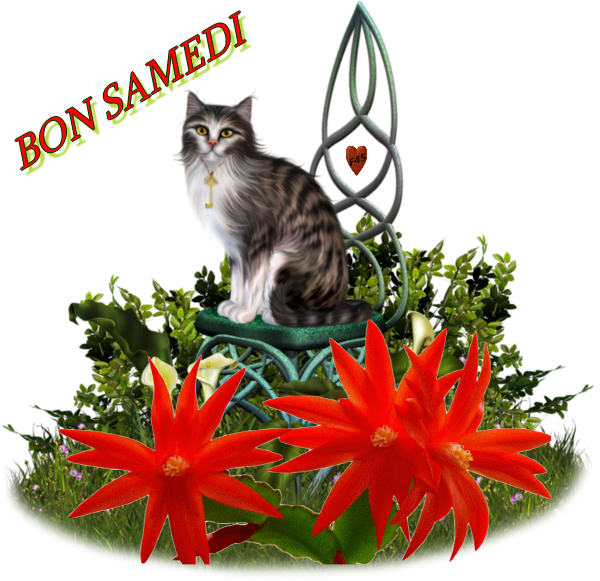 bon samedi