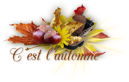 mon tube mot pour l'automne