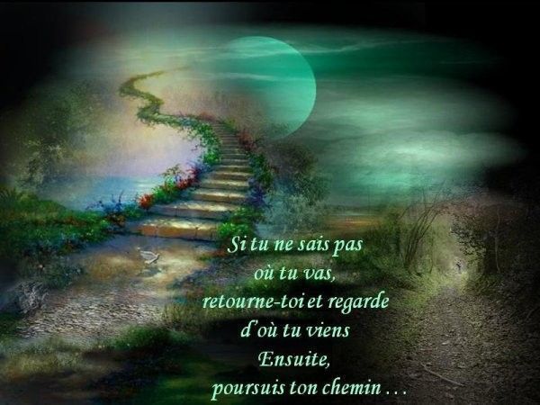 citation