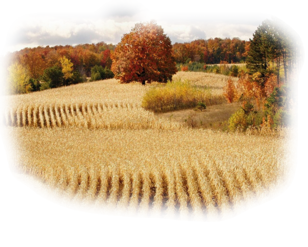 tube automne femme, filles, déco