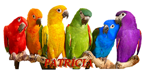 patricia