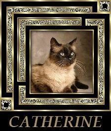 catherine