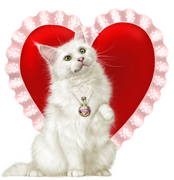 mon tube chat avec coeur pour vos créas