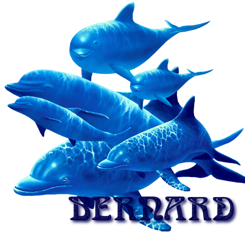 bernard