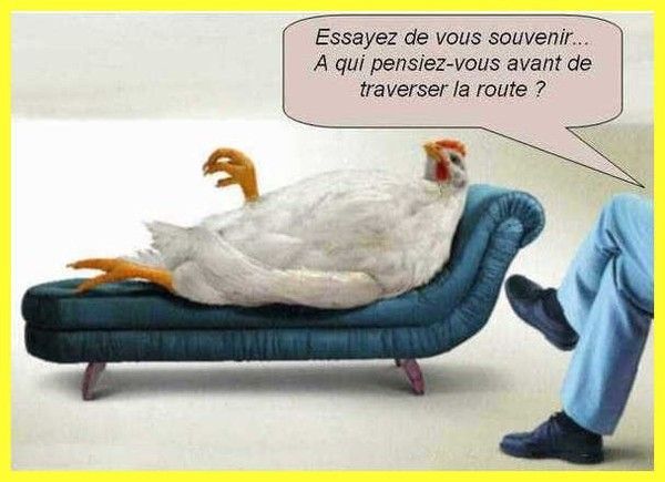 humour