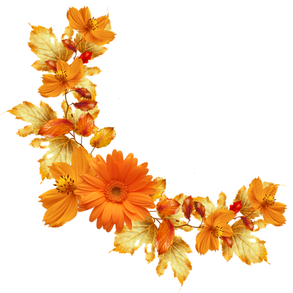 tube fleur en orange