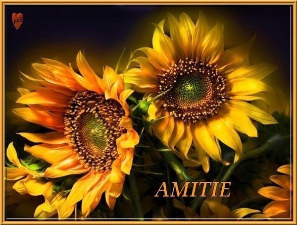 amitié