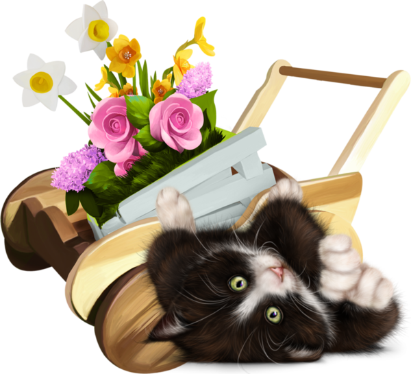 mon tube chat avec fleurs pour vos créas