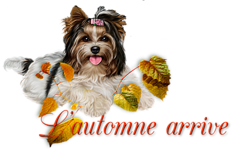 mon tube mot pour l'automne