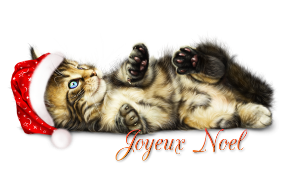 tube joyeux noël