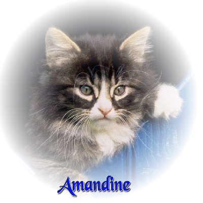 amandine