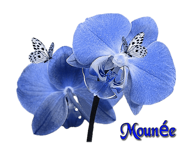 cadeau pour toi mon amie