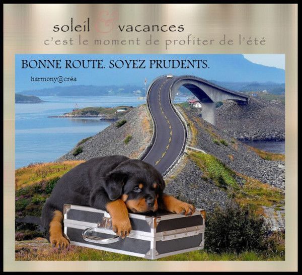 sublime j'adore merci beaucoup