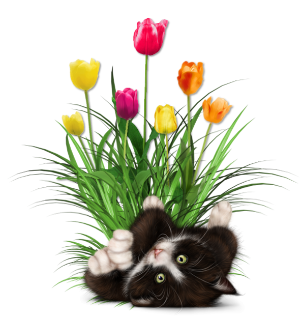 mon tube chat avec fleurs pour vos créas